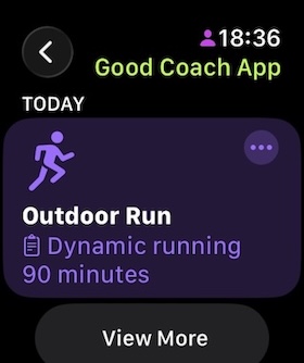 Good Coach App custom workout on watch