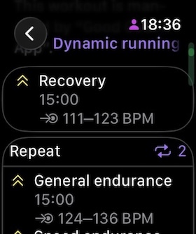Good Coach App custom workout on watch